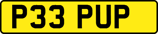 P33PUP
