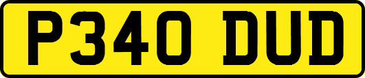 P340DUD