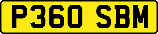 P360SBM