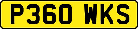 P360WKS