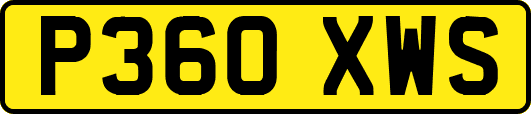 P360XWS