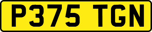 P375TGN