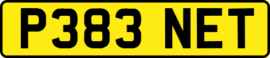 P383NET