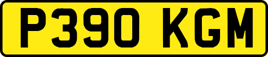 P390KGM