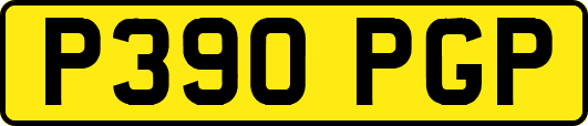 P390PGP