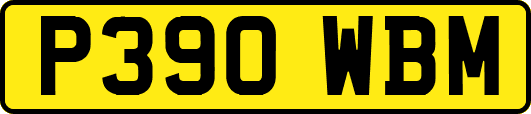 P390WBM