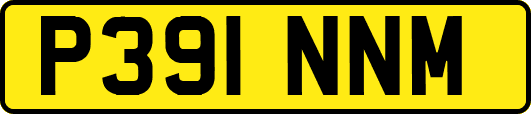 P391NNM