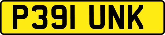 P391UNK