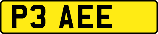 P3AEE