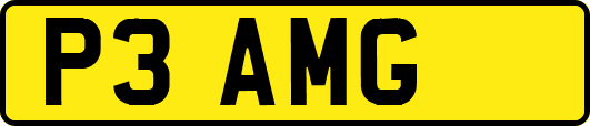 P3AMG