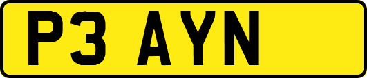 P3AYN