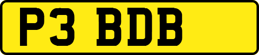 P3BDB