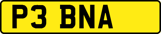 P3BNA