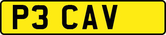 P3CAV
