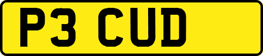 P3CUD
