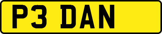 P3DAN