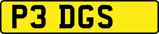 P3DGS