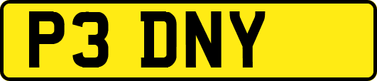 P3DNY