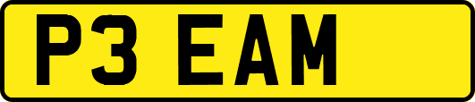 P3EAM