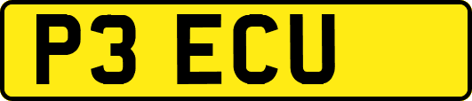 P3ECU
