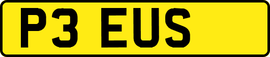 P3EUS