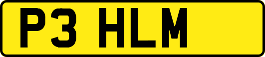 P3HLM