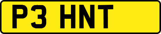 P3HNT