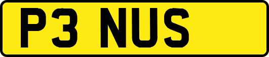 P3NUS