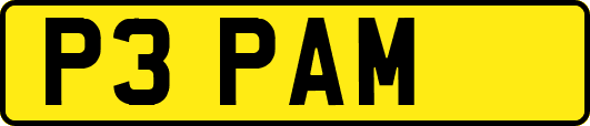 P3PAM