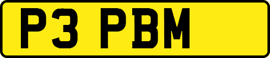 P3PBM