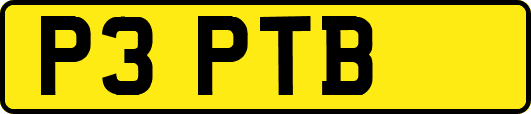 P3PTB