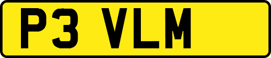 P3VLM