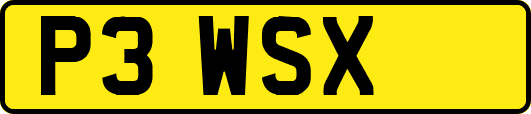 P3WSX