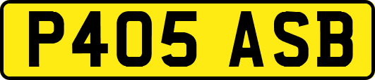 P405ASB
