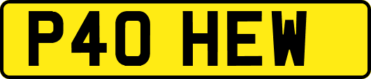 P40HEW