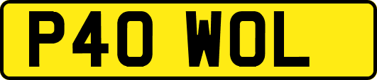 P40WOL