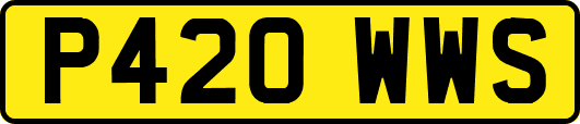P420WWS