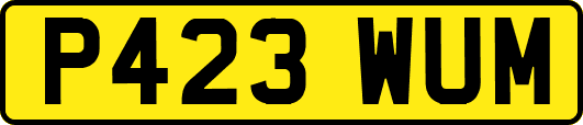 P423WUM