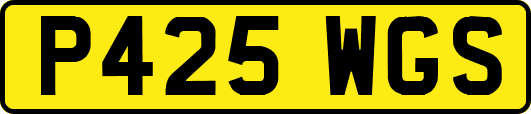 P425WGS