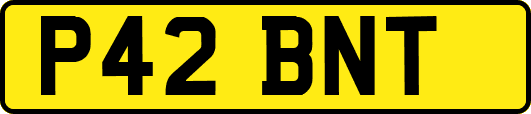 P42BNT