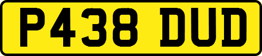 P438DUD