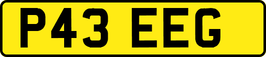 P43EEG
