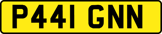 P441GNN
