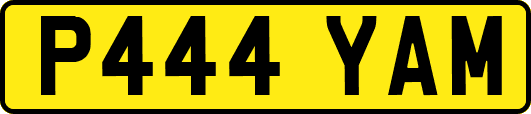 P444YAM