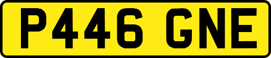 P446GNE
