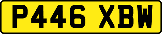 P446XBW