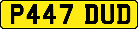 P447DUD