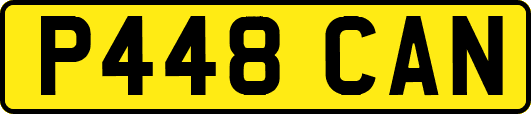P448CAN