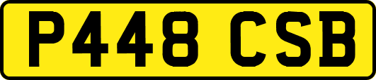 P448CSB