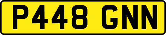 P448GNN